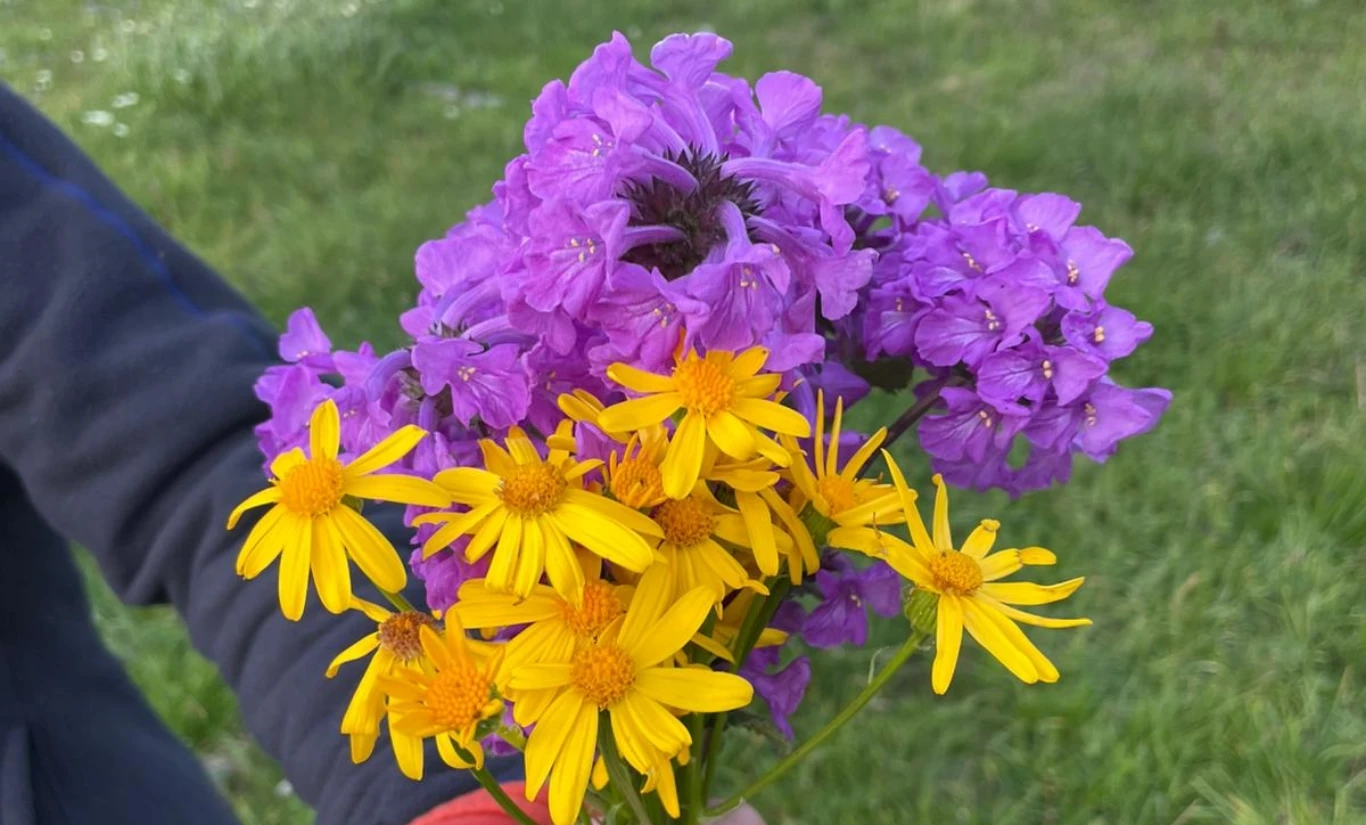 VERÇENİK DAĞI ZİRVE TIRMANIŞI - Fotoğraf 5