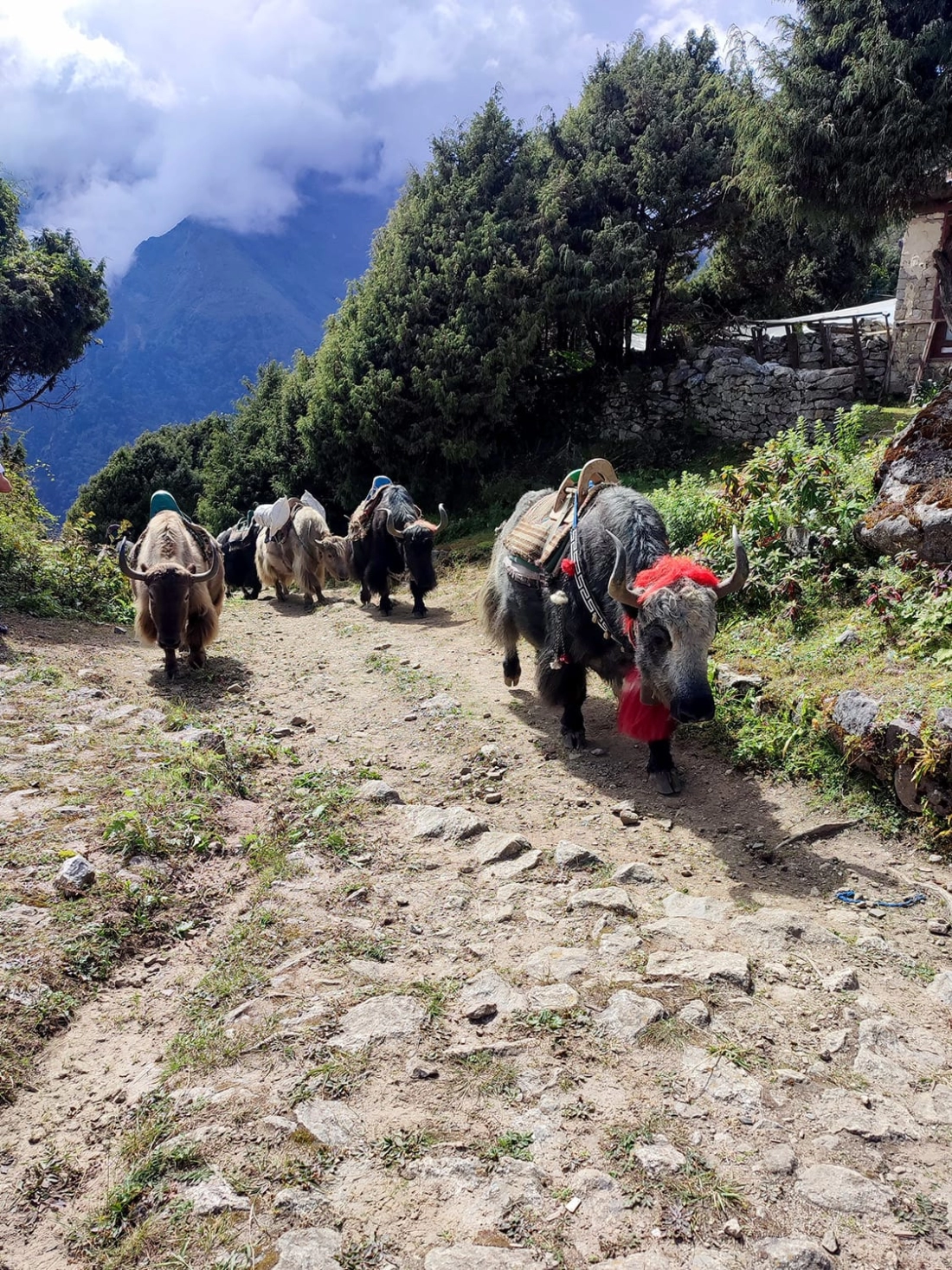 EVEREST ANA KAMPINA YÜRÜYÜŞ  - Fotoğraf 6