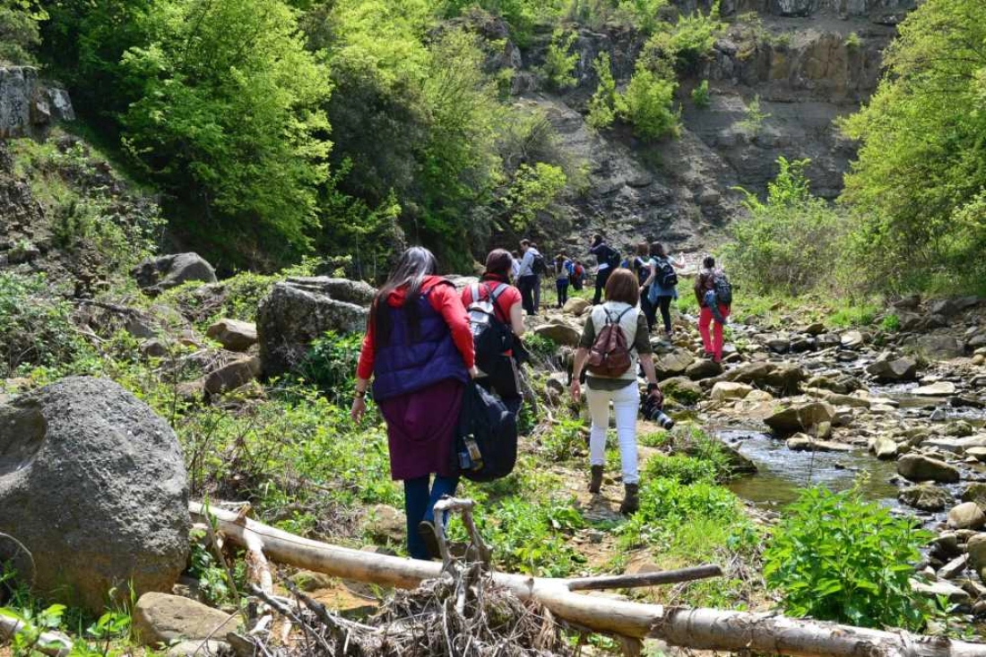 GANOSLAR ZEYTİN ROTASI  - Fotoğraf 4