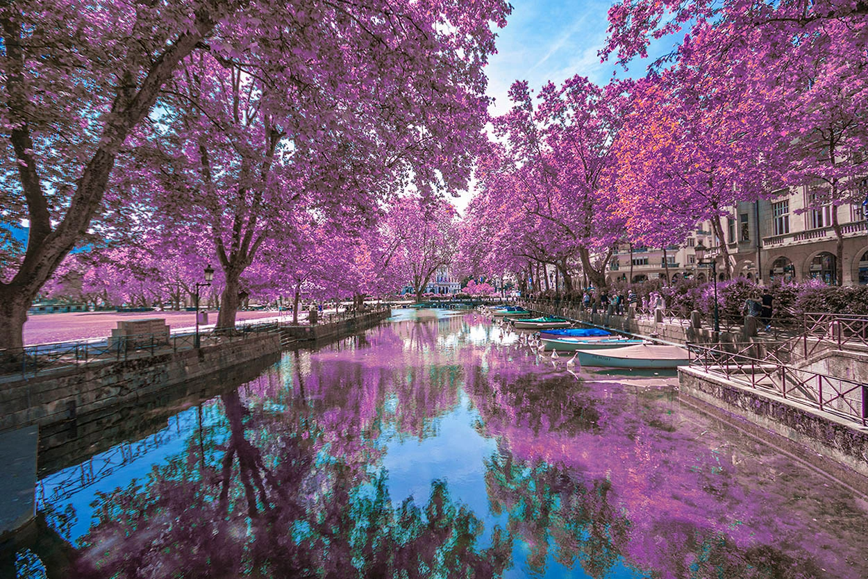 BERNİNA EXPRESS ILE BİR AVRUPA MASALI TURU Ajet ile 7 gece - Fotoğraf 11