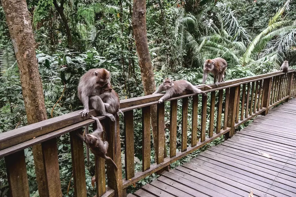 BALİ VE PHUKET ILE FENOMEN UZAK DOĞU TURU Singapore Airlines ile 9 gece - Fotoğraf 10