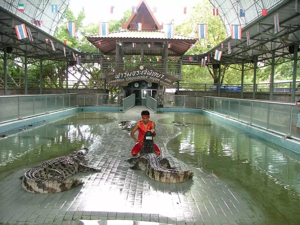KLASİK UZAK DOĞU TURU Türk Hava Yolları ile 8 gece - Fotoğraf 2