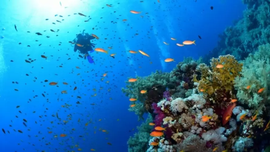 SHARM EL SHEIKH & KAHİRE TURU PEGASUS HAVA YOLLARI İLE 4 GECE - Fotoğraf 1
